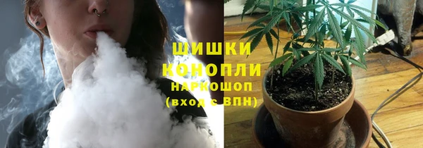 прущие грибы Арсеньев