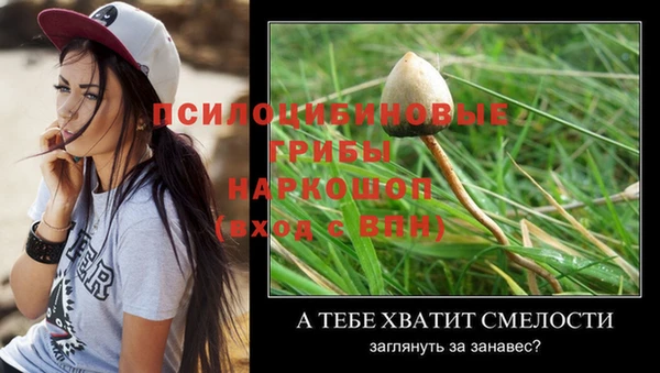 прущие грибы Арсеньев