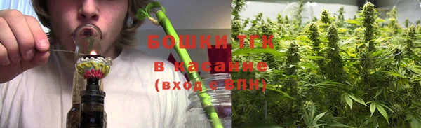 прущие грибы Арсеньев