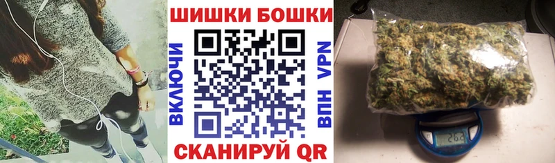 Бошки Шишки планчик  где найти наркотики  Шарья 